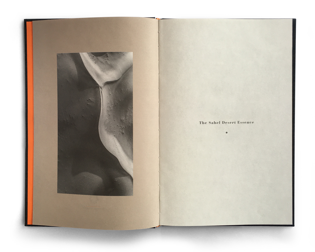 BOTTEGA GHIANDA Design creative direction creativity post-production Photography Art Portuguese design Thestudio thestudiosite.com